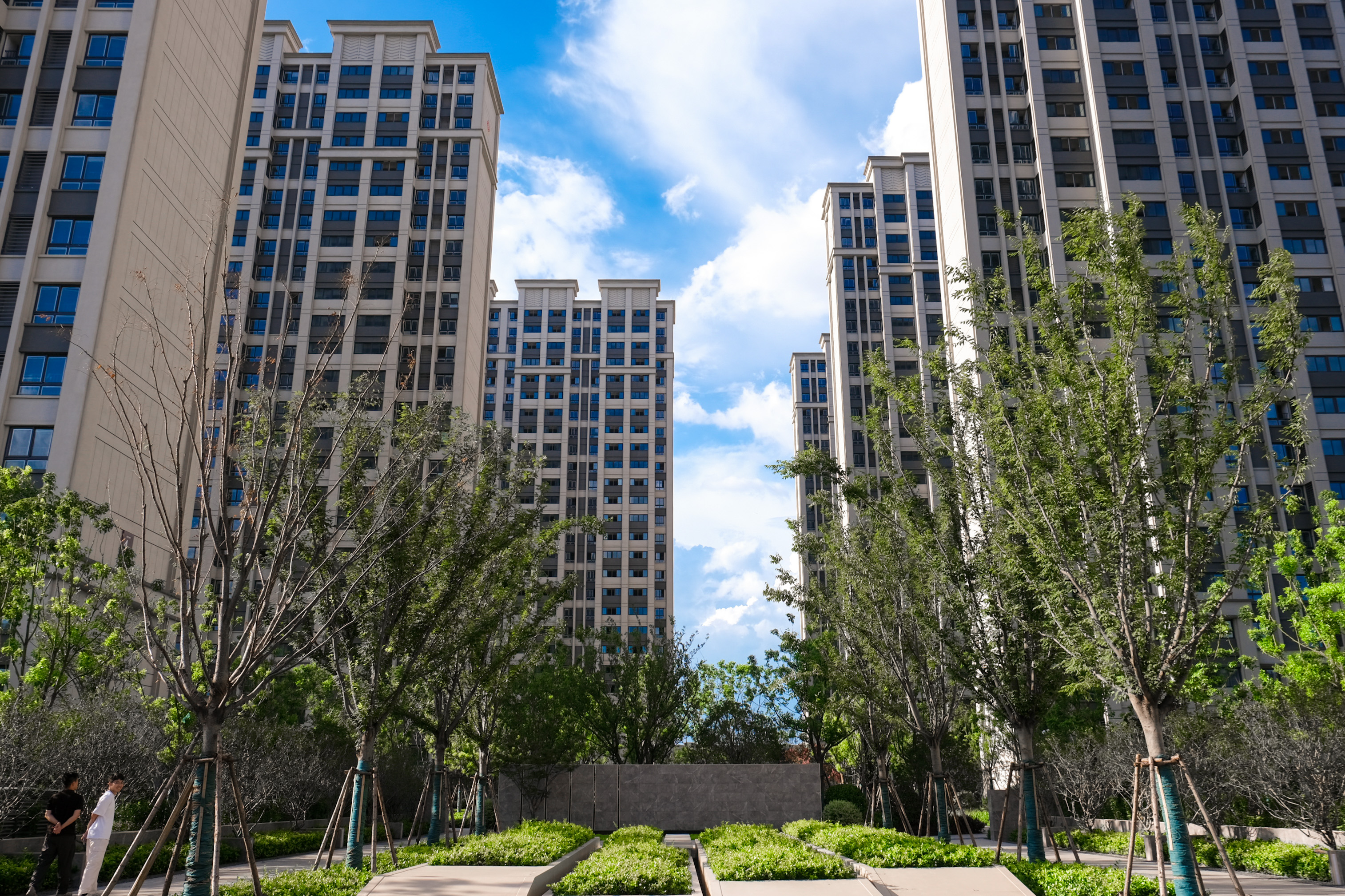 台风过境，，，这一大波民生项目be like（图说包管房）