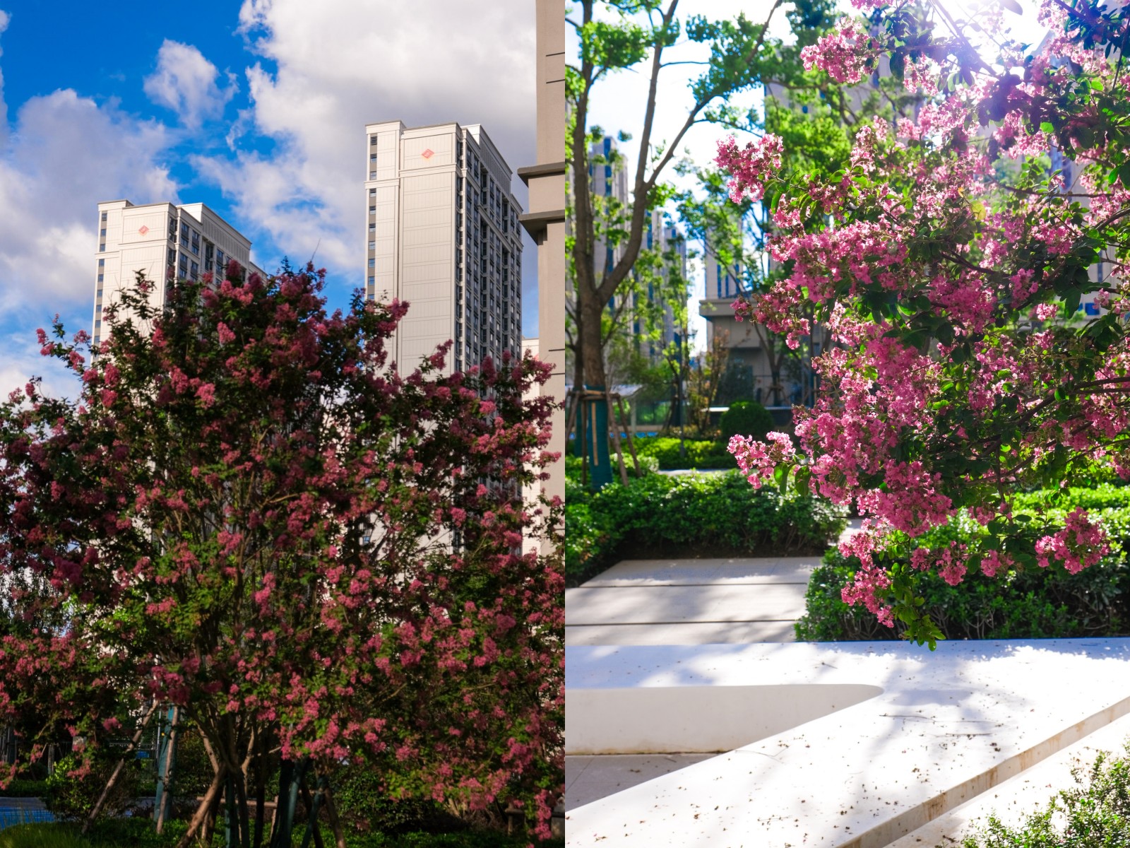台风过境，，，这一大波民生项目be like（图说包管房）